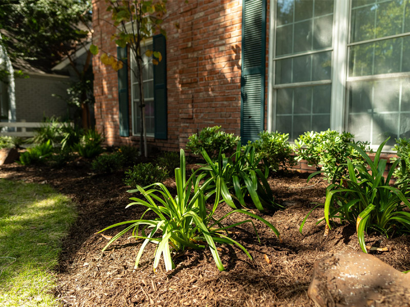 beautiful residential lawn with landscaping