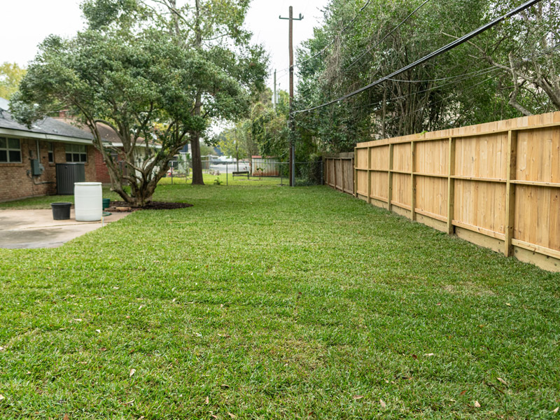 residential back yard with beautiful lawn