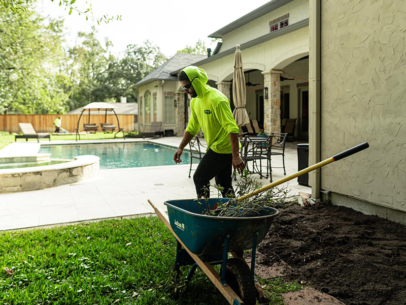 absolute employee working on landscaping project in residential backyard