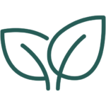 Icon of a leaf
