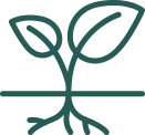 plant icon
