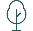 tree icon