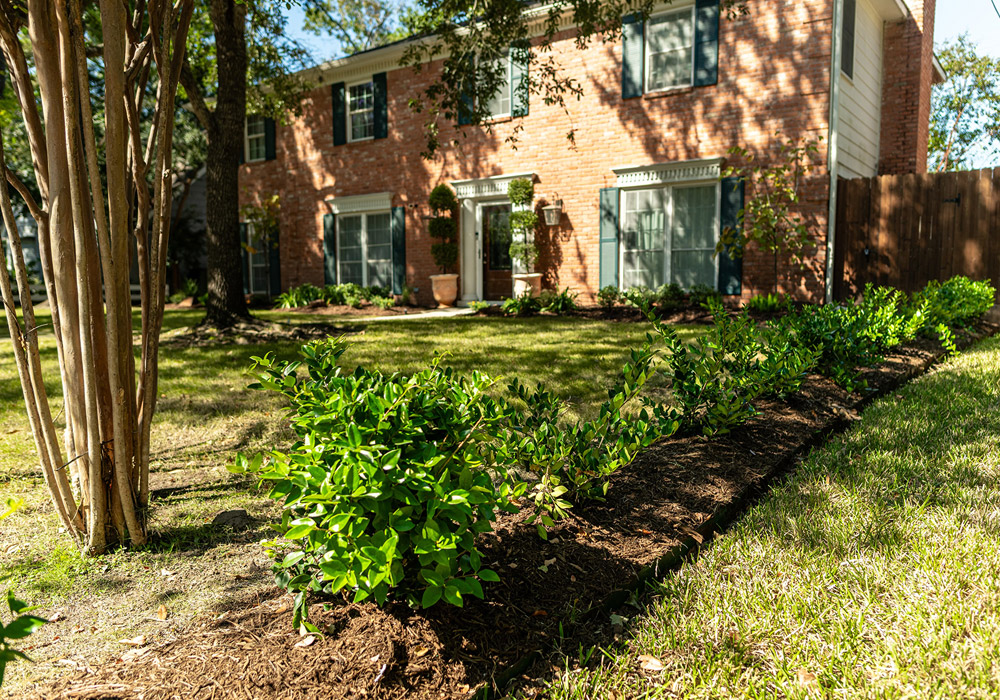 residential home with beautiful landscape in front yard