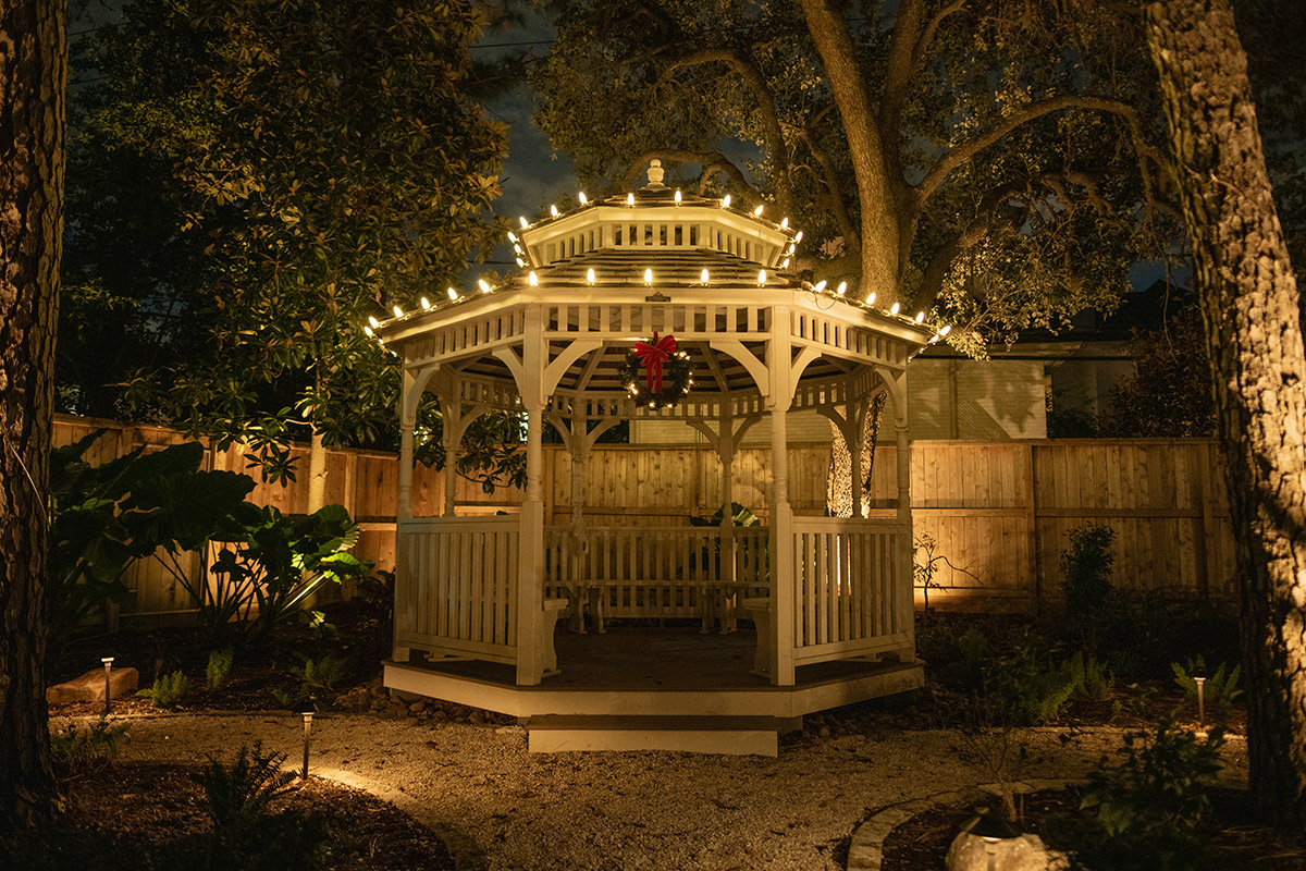 Christmas light on a pergola
