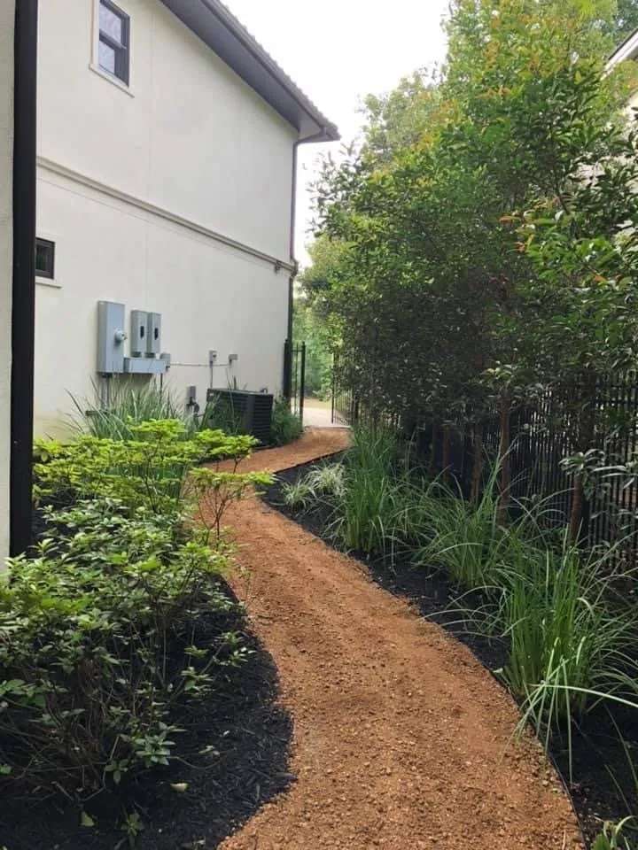 A walkway lined with plants and shrubs leads to a house, creating a welcoming entrance