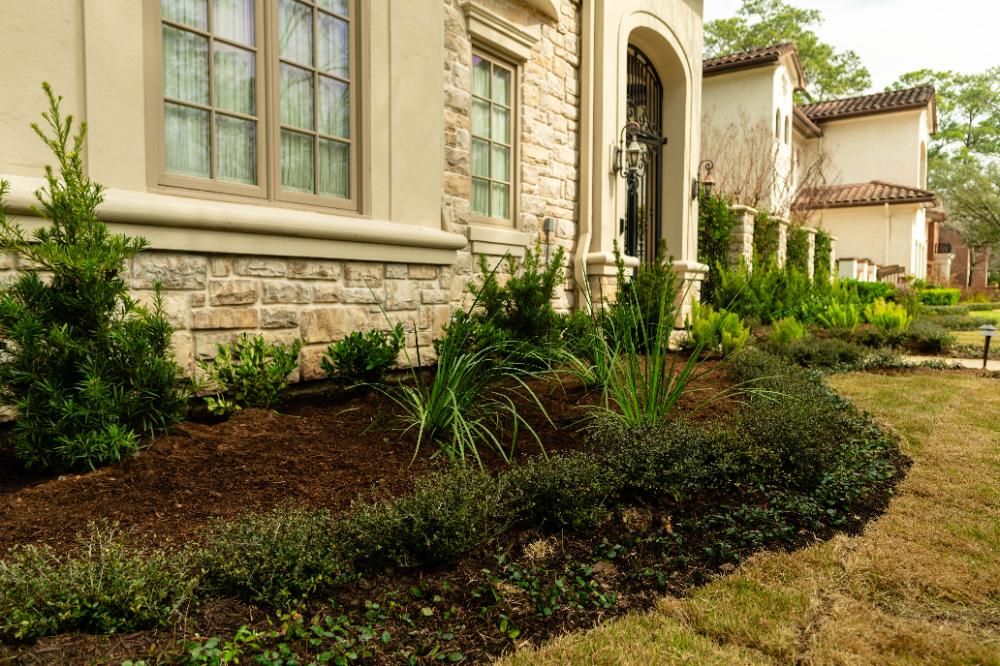 Showcasing beautiful landscaping garden bed in Houston