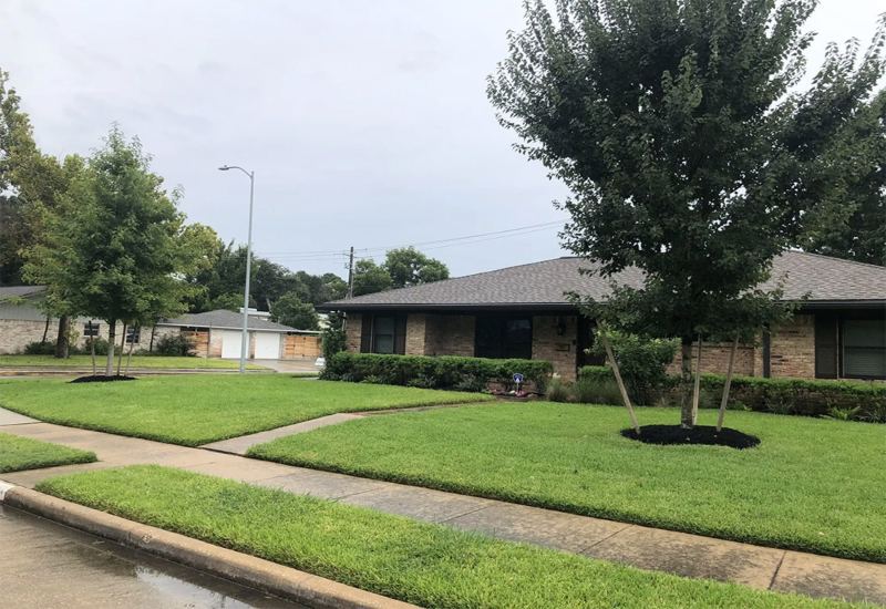 Lawn care service featuring neatly mowed grass around a residential property in Houston, TX