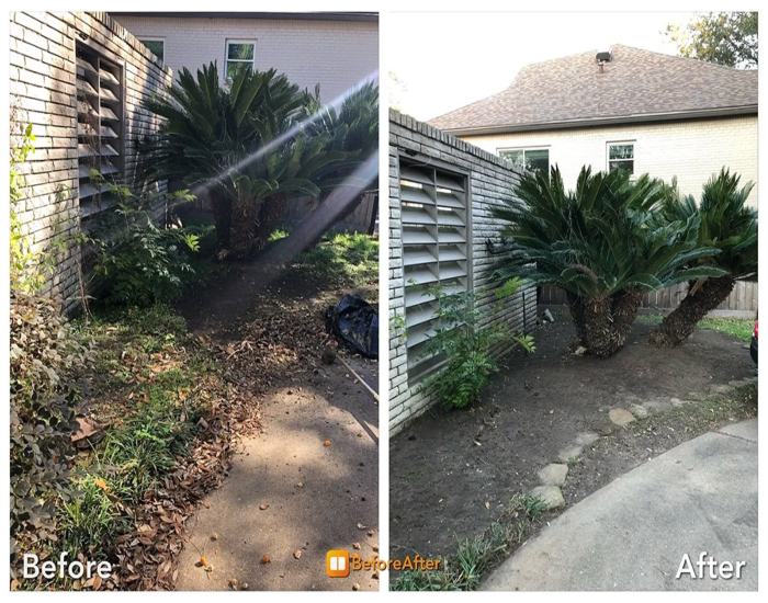 Lawn clean-up transformation with removed leaves and a cleared yard area in Houston, TX