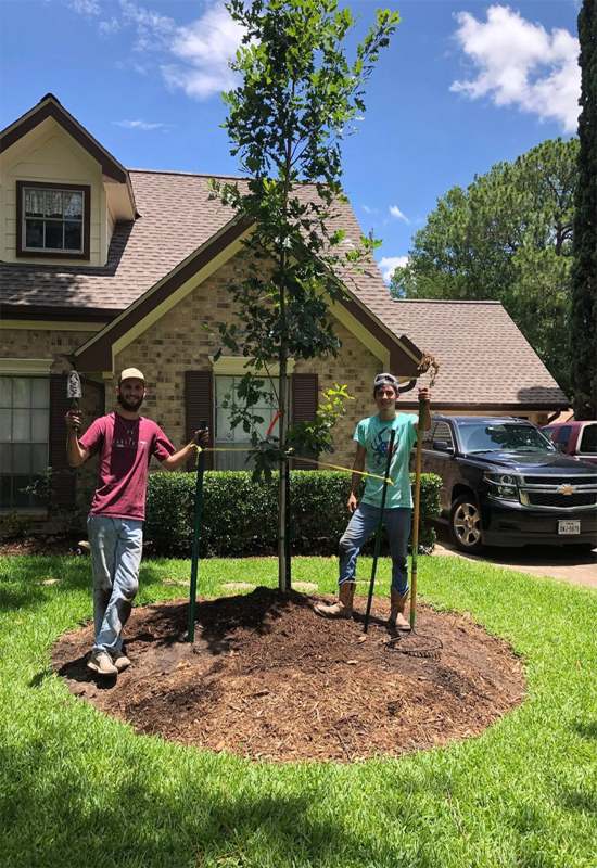 Team members from Absolute Lawn Care and Landscaping are offering landscaping services in Houston