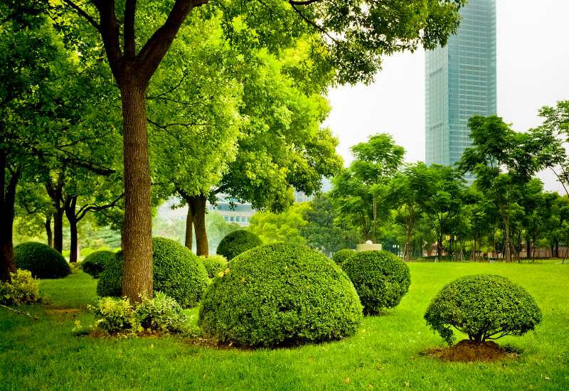 Featured image for “Questions You Should Ask During a Commercial Landscape Design Consultation”