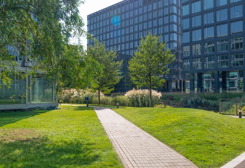 Commercial landscaping was offered near modern glass office buildings in Houston, TX