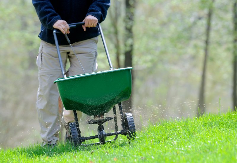 An expert is providing lawn fertilization solutions in Houston, TX