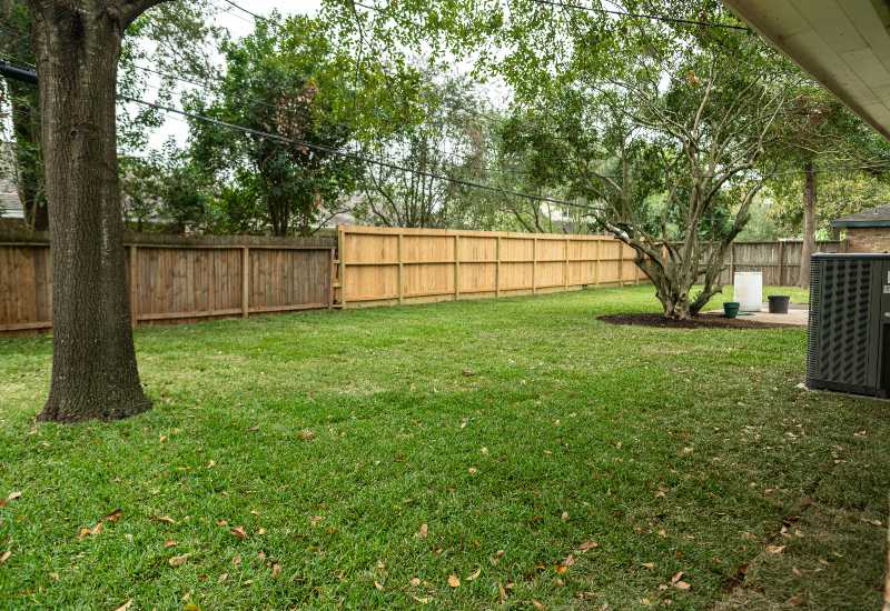 Featured image for “Spring Lawn and Landscape Care Tips”