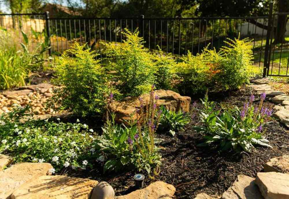 Garden bed designed with fresh plants and stones in Houston, TX