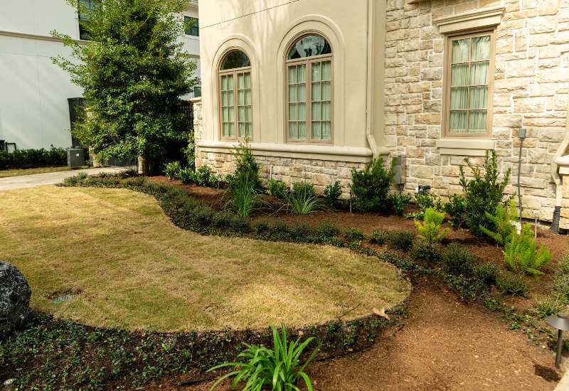 Residential landscaping done with newly planted shrubs and garden beds in Houston, TX
