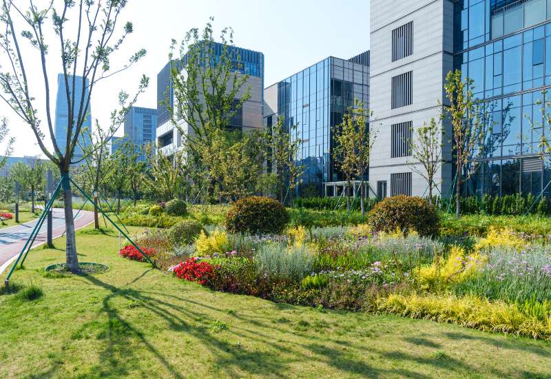 Featured image for “Things to Consider When Adding Landscape Beds to Your Commercial Property”