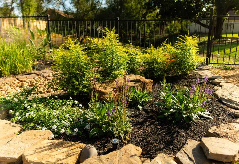 Featured image for “Top Tips for Summer Landscaping”