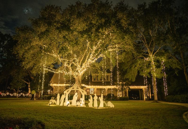 Beautiful Christmas lights installed on a large tree in front of a house in Houston, TX
