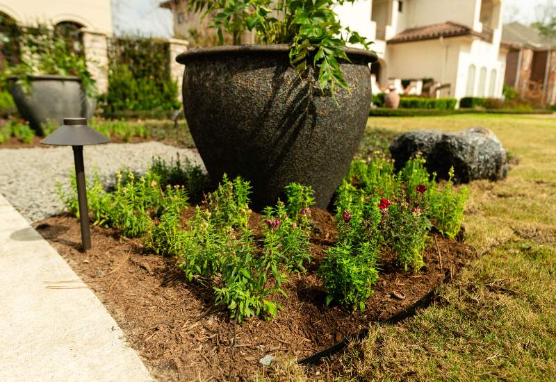 Featured image for “Tips on Choosing a Landscape Service Provider This Spring”