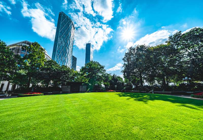 Professionally maintained commercial lawn with vibrant grass in Houston, TX