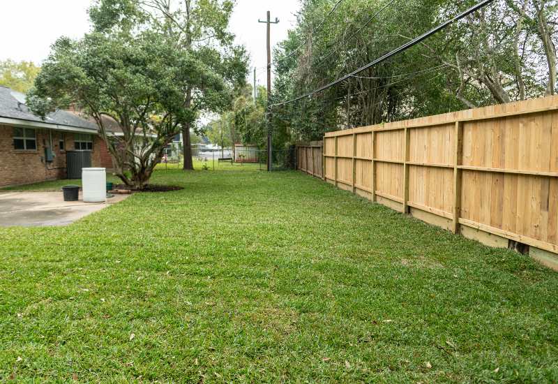 Residential lawn care service showing a neatly maintained backyard with trimmed grass in Houston, TX