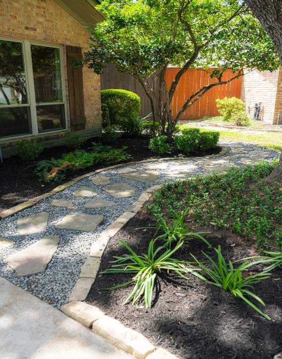 Front yard walkway surrounded by plants and mulch in Houston, TX