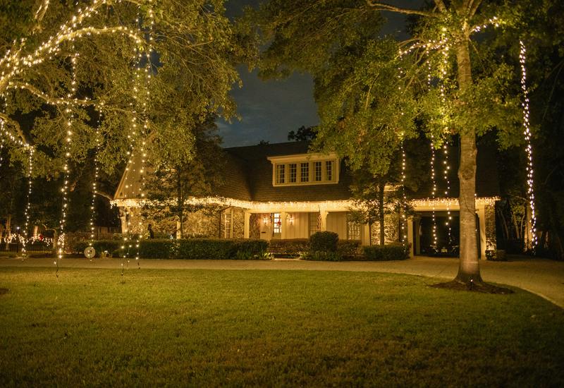 Christmas lights installed on trees and the roofline of a house in Houston, TX