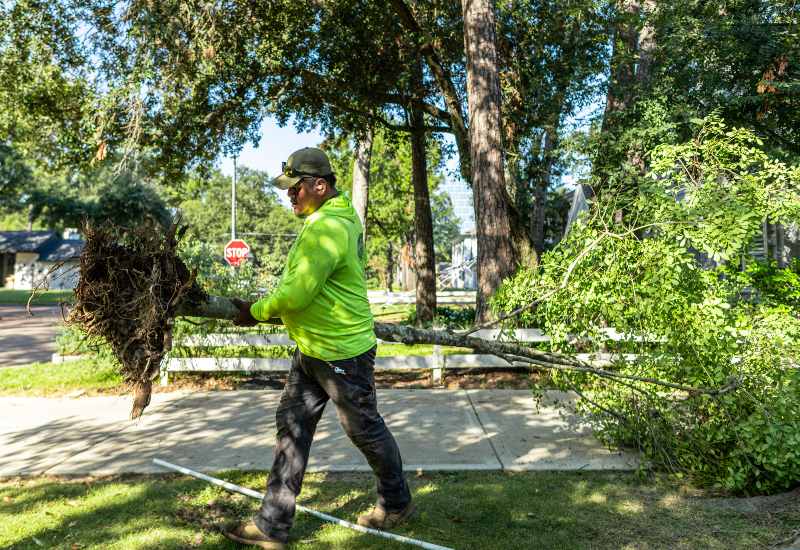 Featured image for “Spring Cleanup Landscaping Tips”