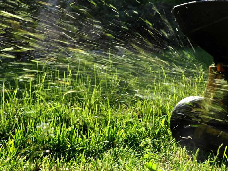 Lawn mower cutting fresh green grass during professional lawn maintenance, in Houston, TX