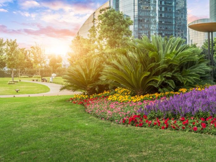 Commercial landscaping solutions featuring walkways and green spaces in Houston, TX