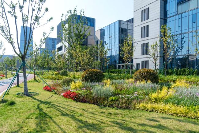 Commercial property landscaping with maintained lawns and greenery in Houston, TX