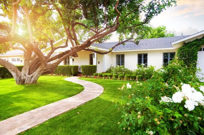 Residential front yard makeover with updated plants and hardscape in Houston, TX