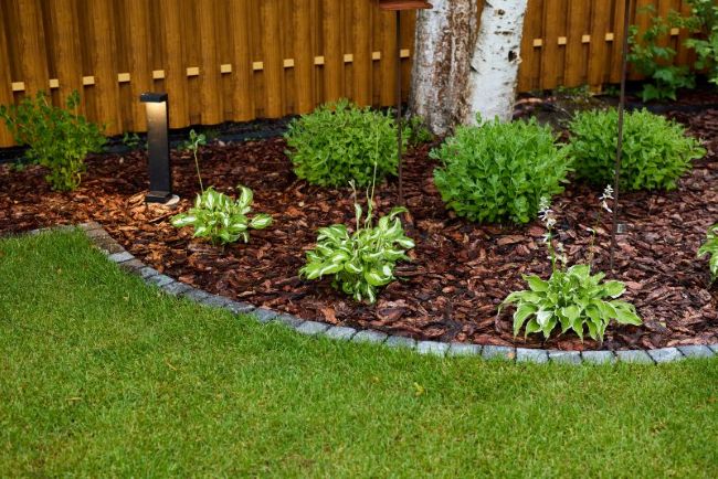 Professional landscape maintenance preserving outdoor beauty in Houston, TX