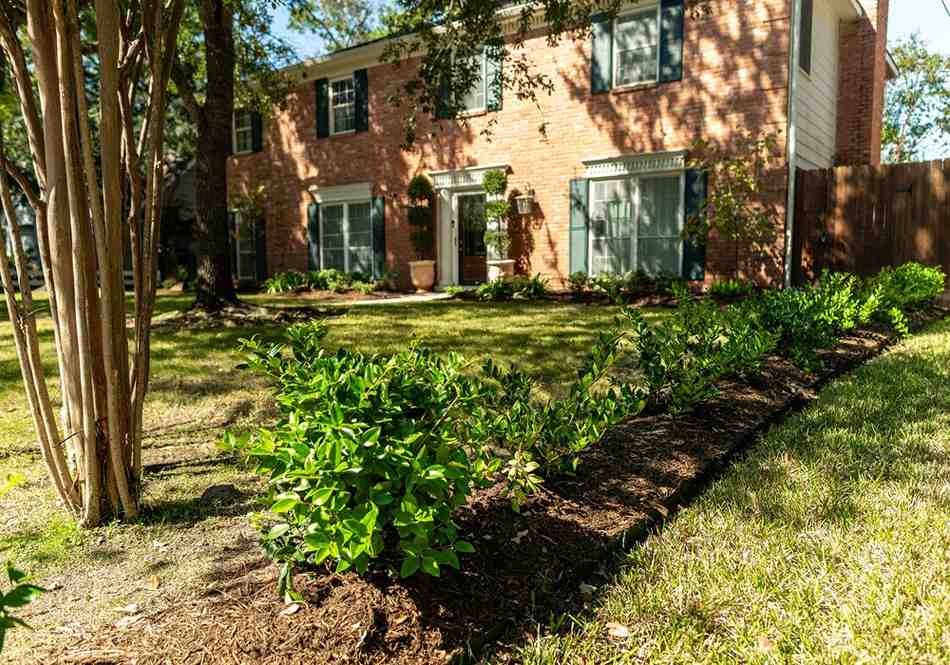 Lush green lawn and landscape maintenance project in Houston, TX