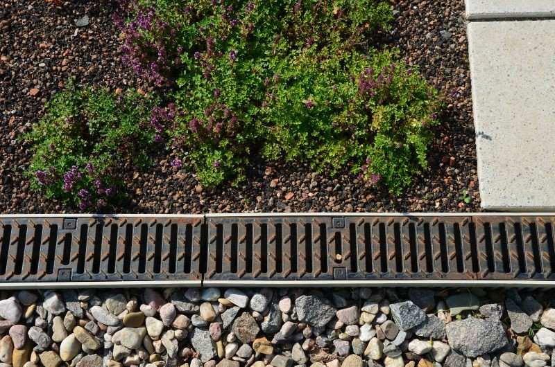 Residential yard drainage system improving water flow and soil health in Houston, TX.