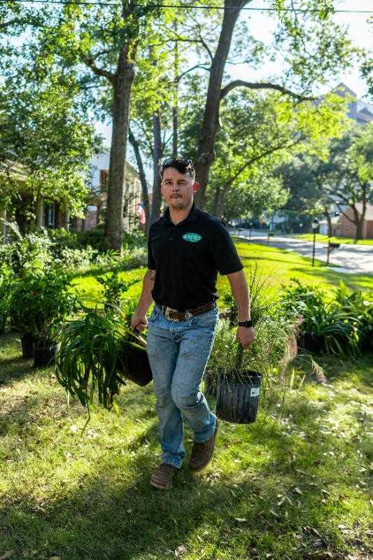 Front yard landscaping with plants and sod installation in Houston, TX